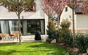 Treestudio Apartment